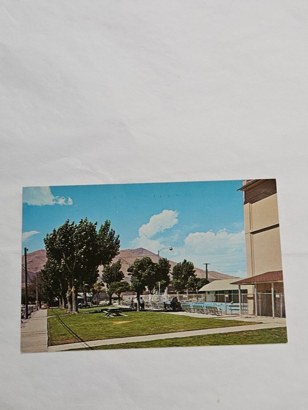 City Swimming Pool Winnemucca Nevada Postcard
